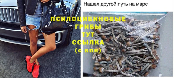 спиды Карпинск