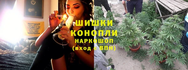 сатива Карталы